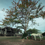 Trải nghiệm chụp ảnh với Canon 6D