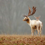 Ảnh đẹp nhất tháng 7/2013 của National Geographic