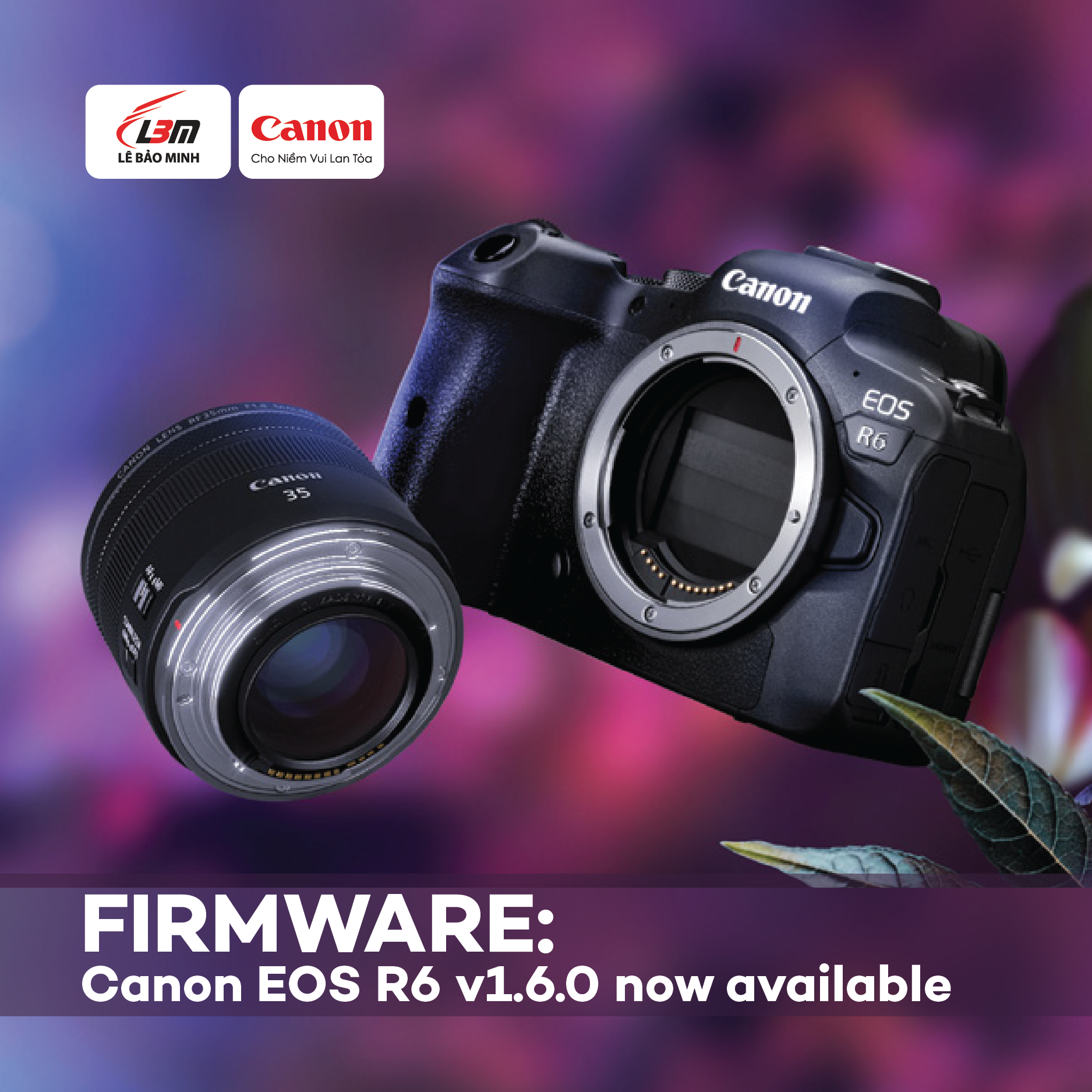 [NEWS] CANON CẬP NHẬT FIRMWARE 1.6.0 CHO EOS R6