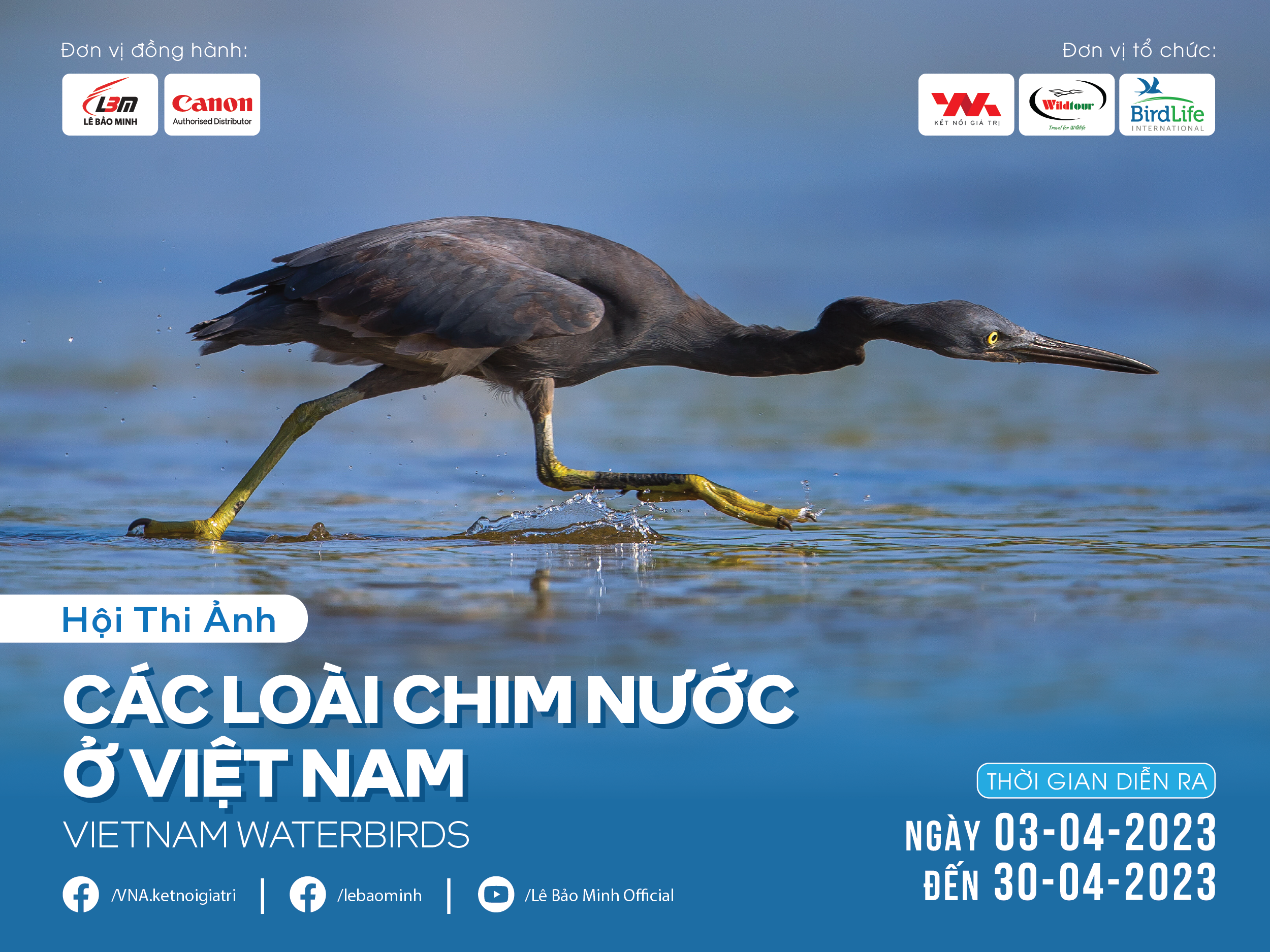 THỂ LỆ CUỘC THI ẢNH CÁC LOÀI CHIM NƯỚC Ở VIỆT NAM